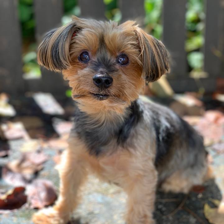 4c1998b1 1f42 4469 be5b 543aa749bfb6 1635336576627