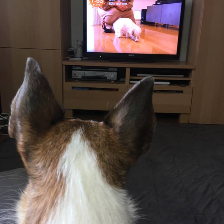 4c19c05a 0b46 4188 893c 771f6870cac4 1656285439013