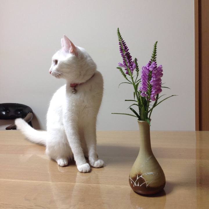 4c19de4a 6026 40cf 8605 eb7a4a1143bb 1631331721268