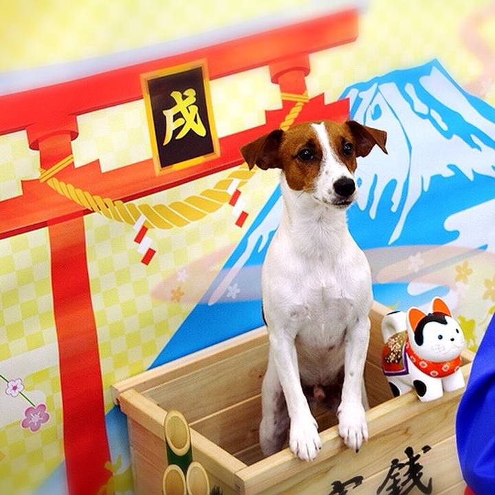 4c1a1163 2617 49e5 9da9 7a44b9074261 1513777774873