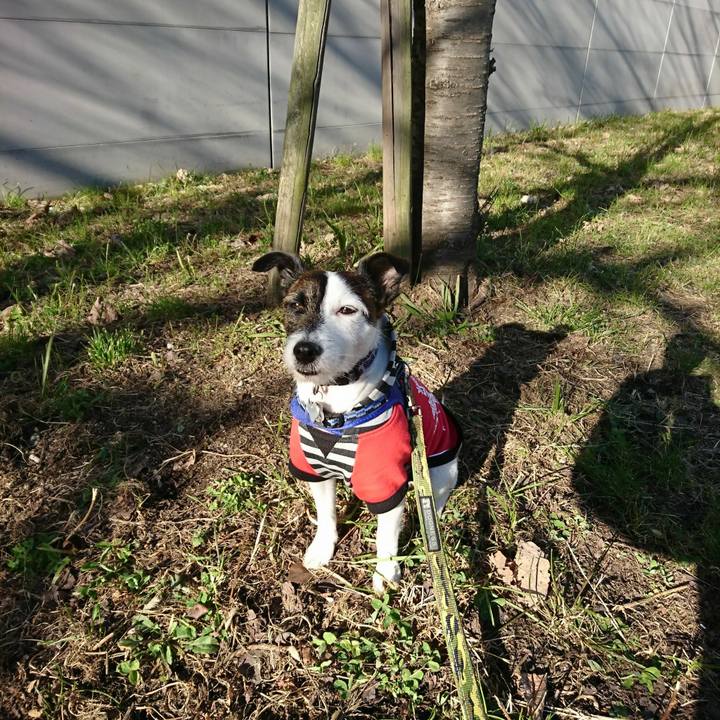 4c1a4377 a323 4c36 ba6c 93109ec325f9 1515889498357