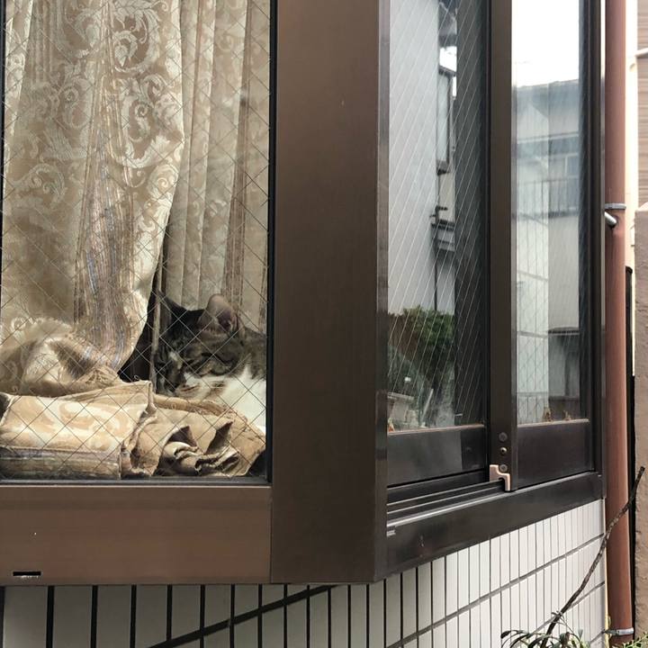 4c1a47af 947a 45a9 9344 b303c73ab816 1568467974165