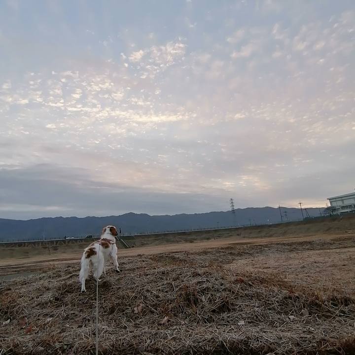 4c1a4936 7be1 4710 a761 4dec64ef7ded 1611791631259