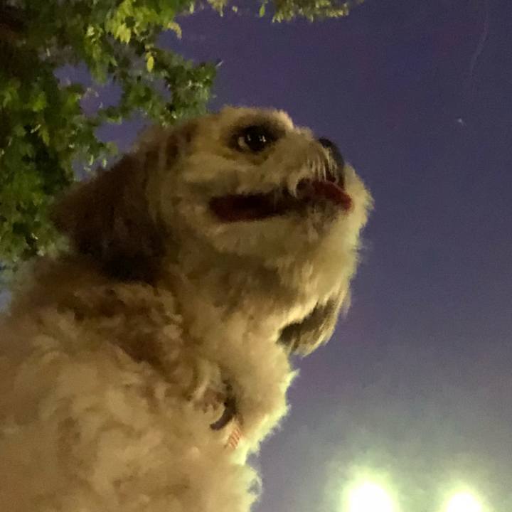 4c1a8ff7 c3eb 425f 9354 2925f465f88a 1531517967286