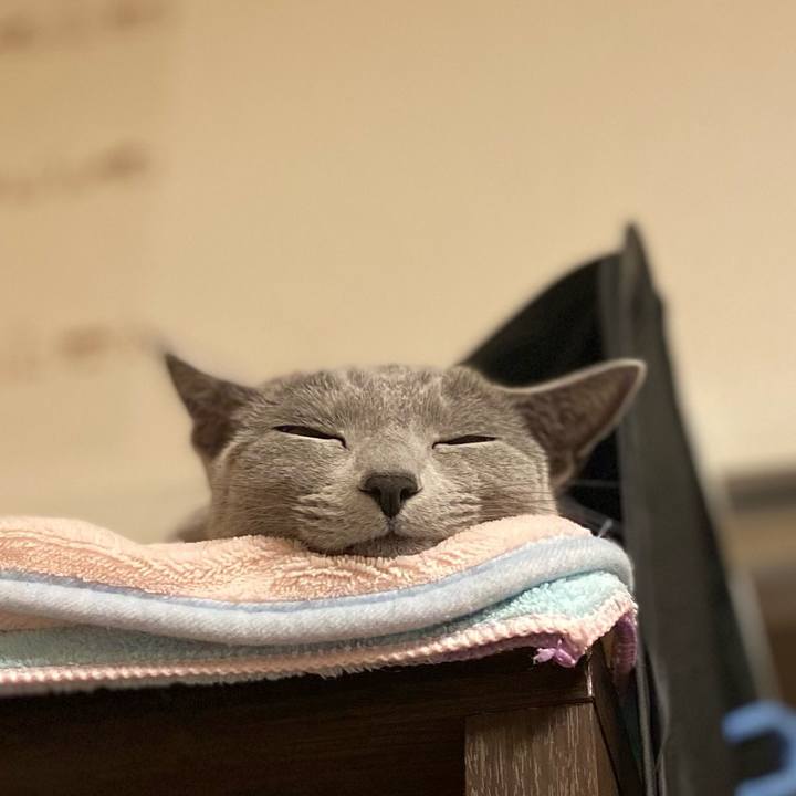 4c1aa228 8f81 491a a8e0 04d17caa2693 1643901992855