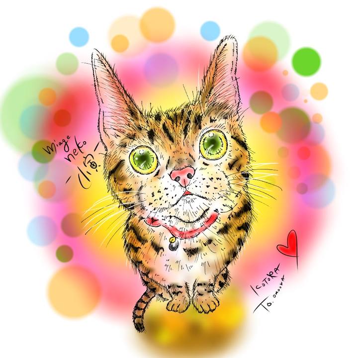 4c1aaa1b 9c80 40d4 9ef6 39531890c9e0 1591979260443