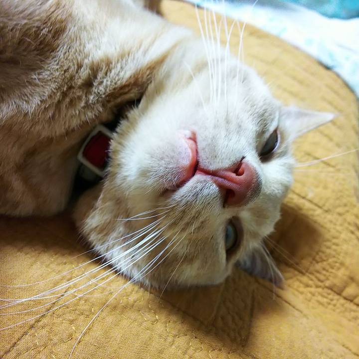 4c1ac419 2cdd 401b 909a d8514010558a 1561205026710