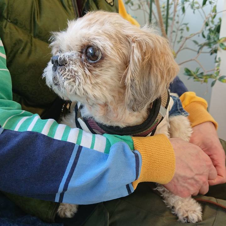 4c1ad2bf d55a 4f9b 94c7 361d5a180ca5 1543373830937