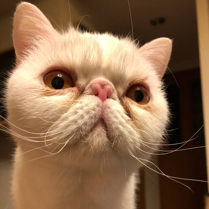 4c1ada26 8409 43e9 992c 27cf308bd55f 1648205096116