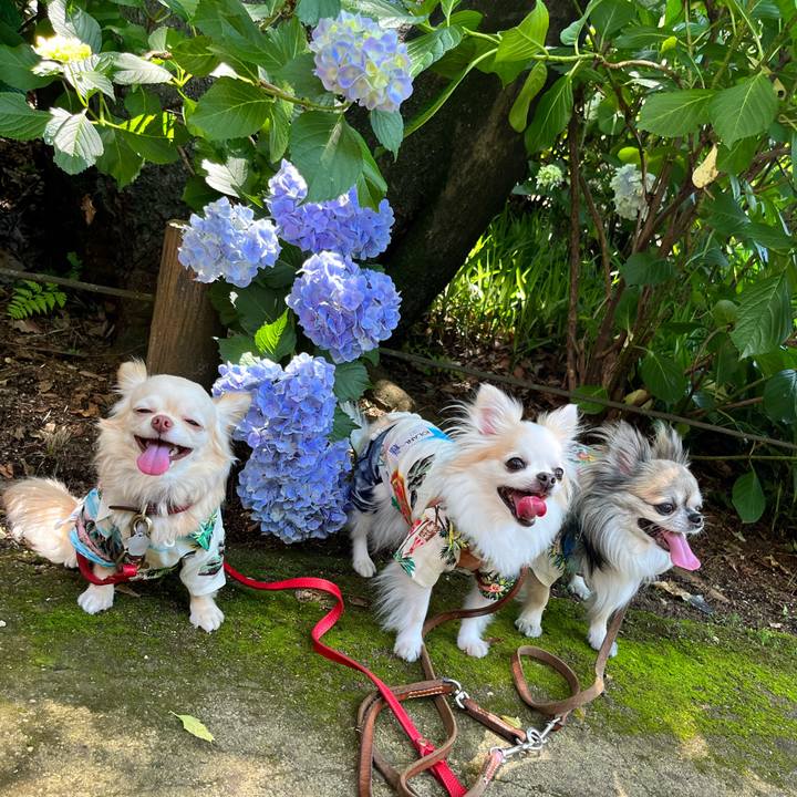 4c1b2ca3 9b1d 41b2 b355 e99cc650da2a 1655200593917