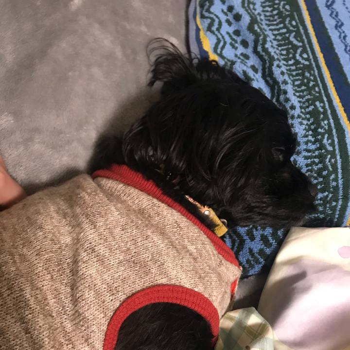 4c1b3b94 5e90 4b88 bd00 34140e0dbc09 1542603708714