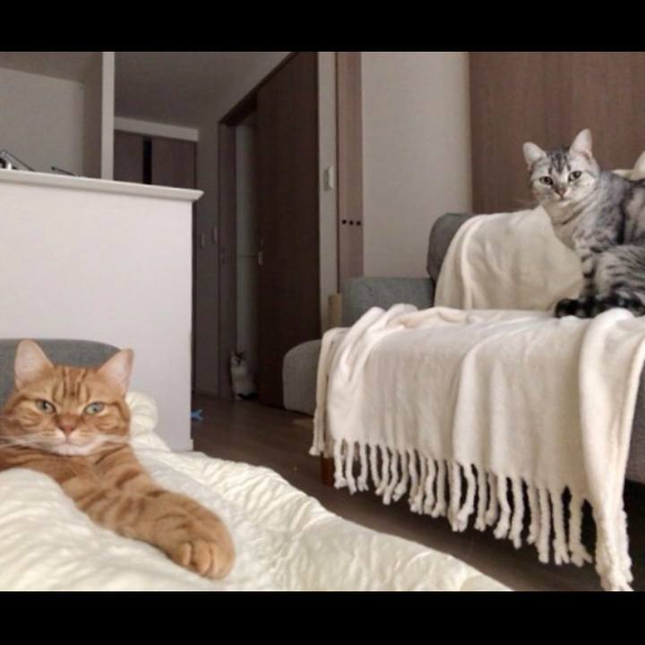 4c1b7f39 88b8 4b34 bbef c4d7ca97ee99 1543187967506