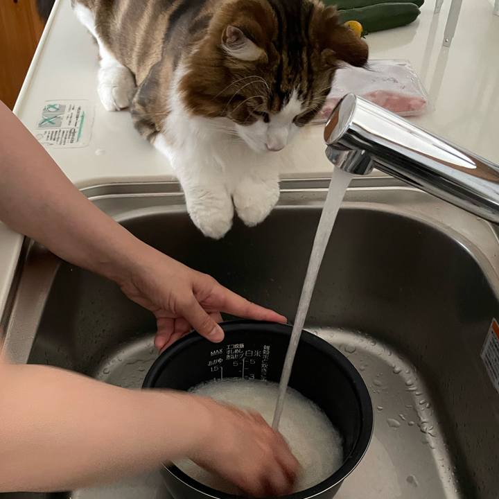 4c1b8842 7466 4bc5 ab81 fd707a9f9874 1660198930822