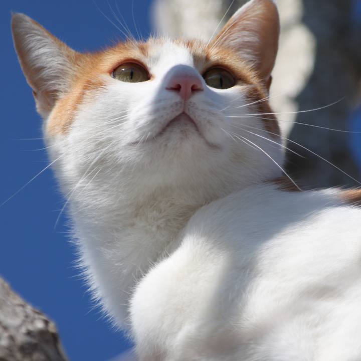 4c1bc4d3 69b9 45cc 926b 399e7c20b430 1517371235059