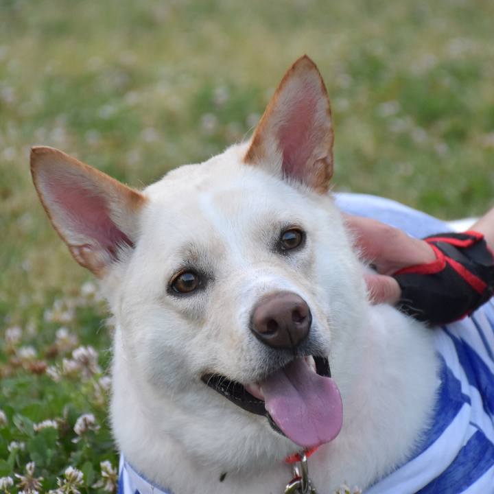 4c1bcf84 8bcf 4cd5 b785 e436ec456458 1528025751943