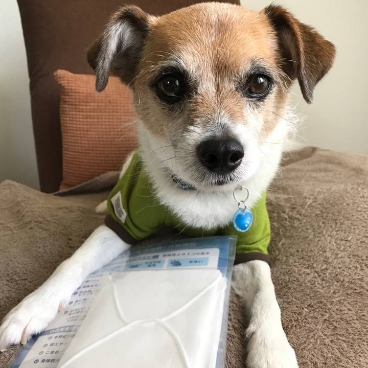 4c1bd9e8 c3f1 40f8 a19f f4c8024ac7b0 1591756655010