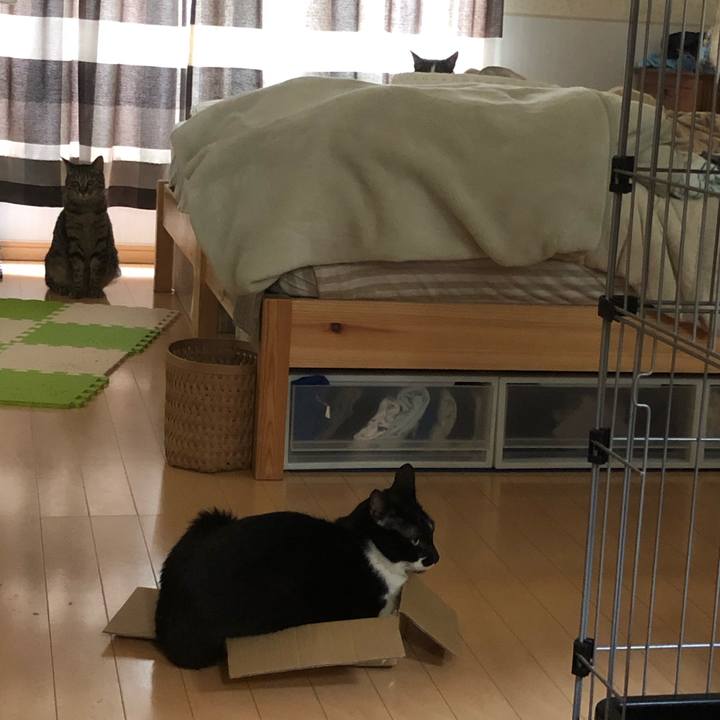 4c1be037 3bb3 409c 9636 c1850561dbb1 1563445883804