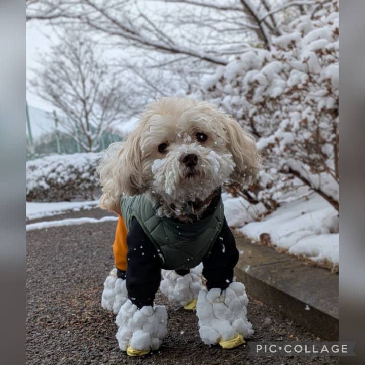 4c1c62eb 35c5 4331 b7ed 8ec81f263ce7 1770532787123