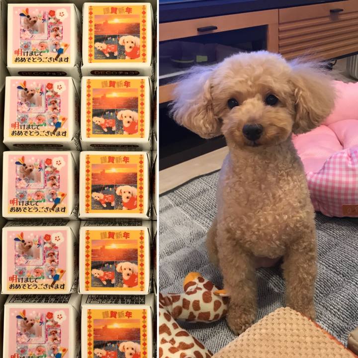 4c1c78d7 f806 4cf5 b2fd 525de50dabb9 1579403436752