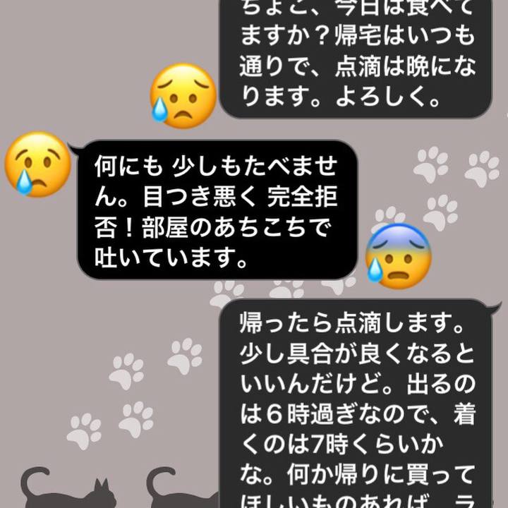 4c1c855d 1fcb 4a50 a8a4 78e02911a5e7 1551863072193