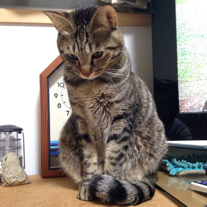 4c1c9322 9271 4e61 87da efb4c081b83d 1512611385415