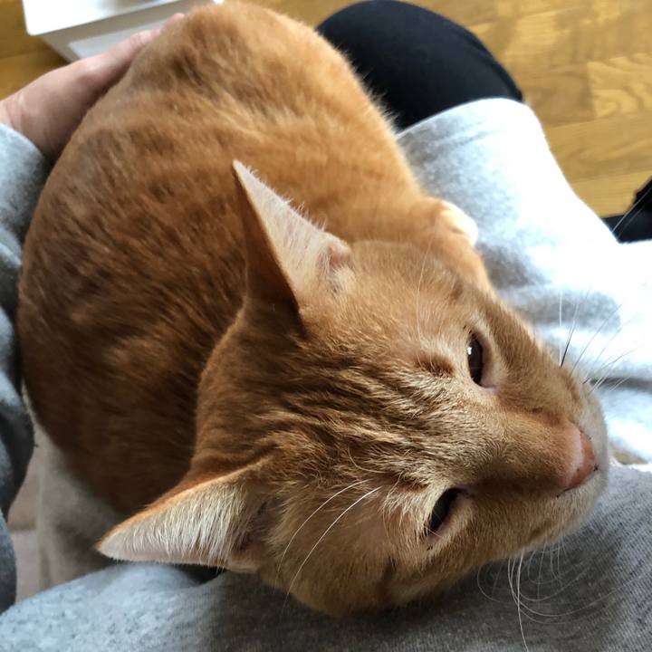 4c1cbd0c 173a 43e6 909a b979a977ce8e 1606013955849