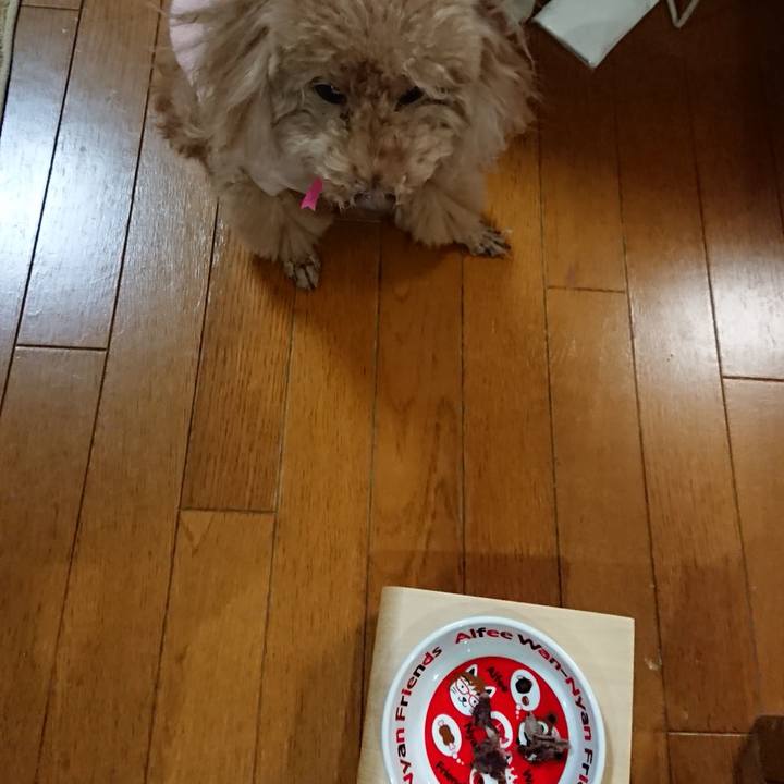 4c1ce4e8 dc43 40ed bd2a 1c16fa6936af 1546687008774