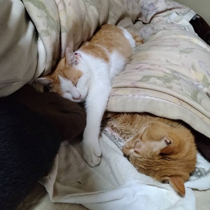 4c1d3083 3b73 40be a74a 82584b88ca7a 1746507892865