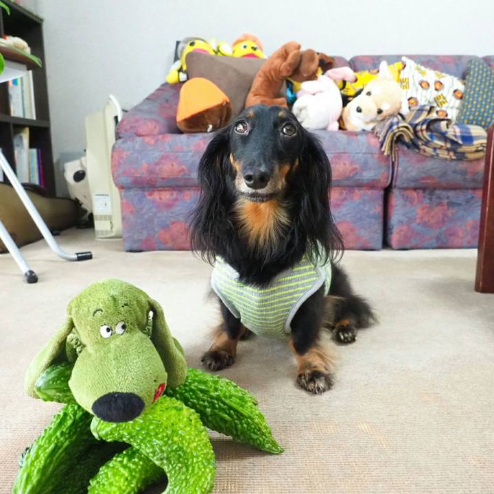 4c1d3a85 f517 4b5d 92ce 4c82e53ec4a4 1536195009190