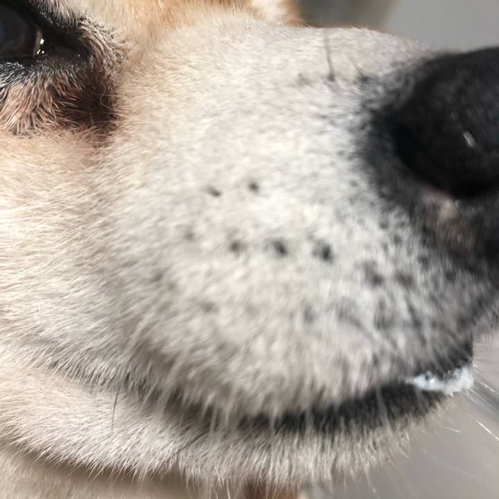 4c1daa11 50c2 47c6 bf51 7098d070d425 1565091079999