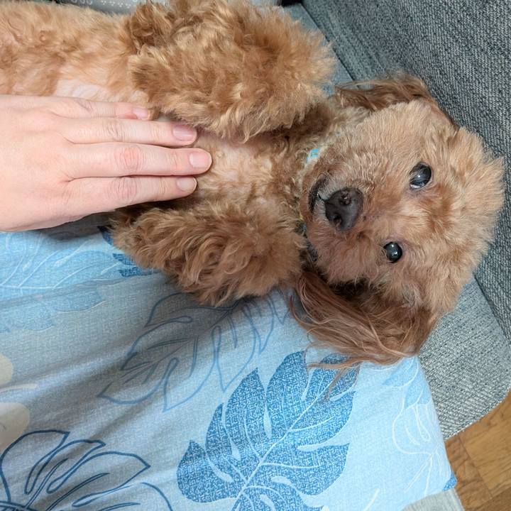 4c1dbbf2 e047 415d bd07 3e1657c5e898 1770791060772