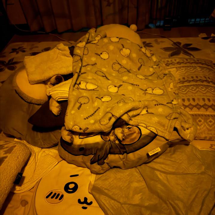 4c1dde29 0b01 4742 90b1 f551ec425e7d 1701016193912