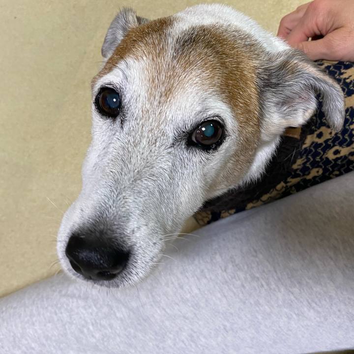 4c1e0843 4e44 4a55 b5a1 27e4891eff22 1606642638102