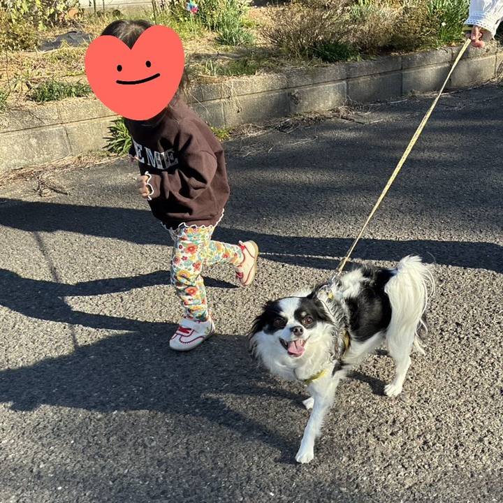 4c1e0907 34c7 4b19 8482 bf47f0b21827 1763335288520