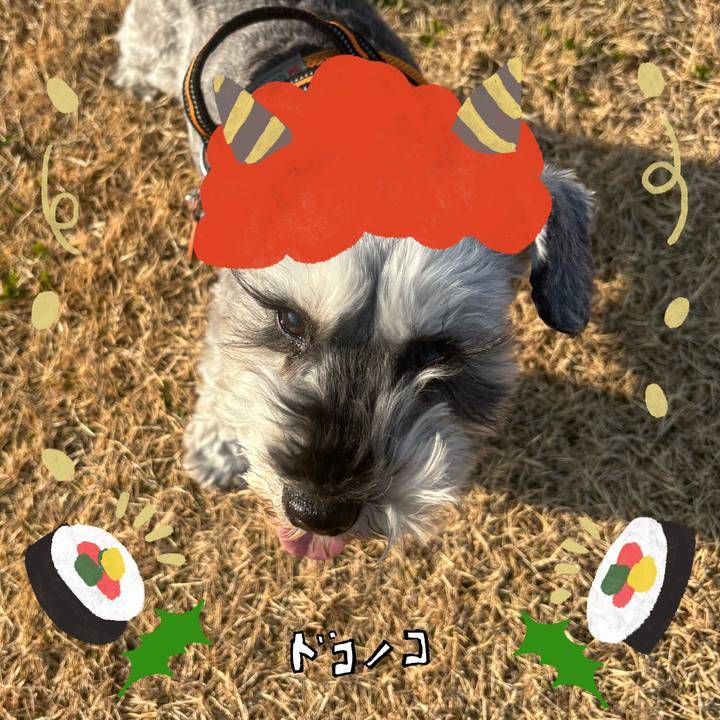 4c1e1ce5 07ad 4154 b4f6 97fab58bdef0 1706923581057