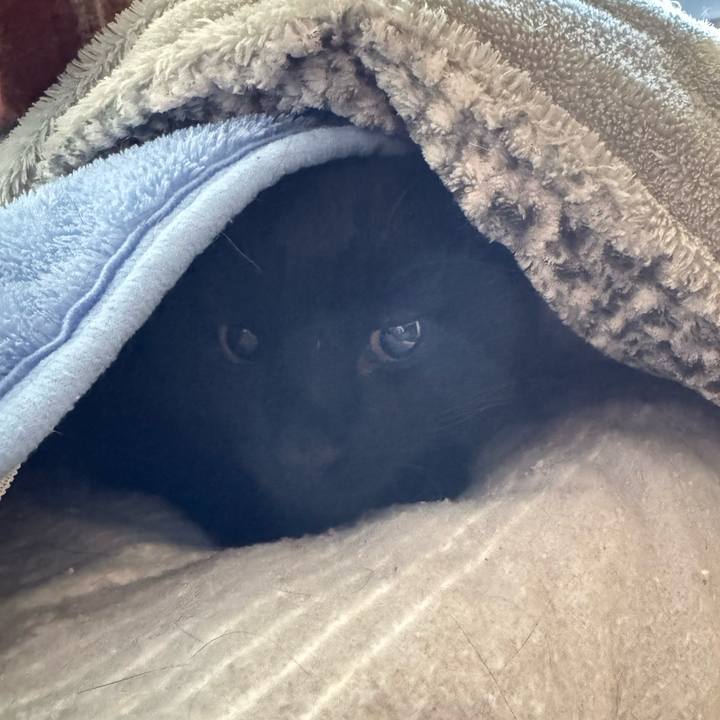 4c1e4573 b71b 4d05 9163 8257143a19ef 1766030846709