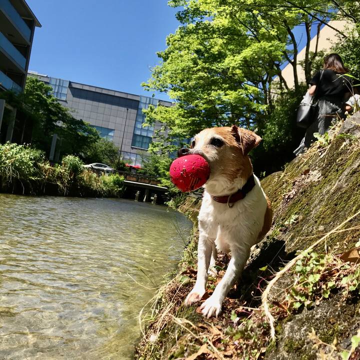 4c1e5b40 e8c1 4707 a669 c62a5219ca97 1591509327320