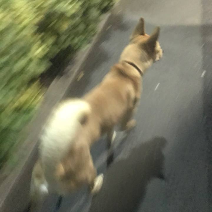 4c1eaf7d 99da 4d2a 9ffe bc1e9714dc16 1578893343618