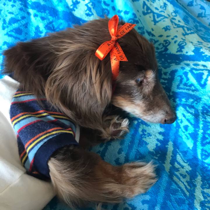 4c1ed491 1ca5 4f4a 8884 11a9f5e0a8bd 1589518899673