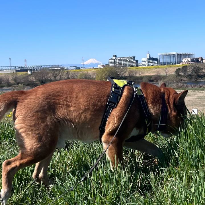 4c1f0c4f 1f35 4959 a211 82cec8200612 1773451512713