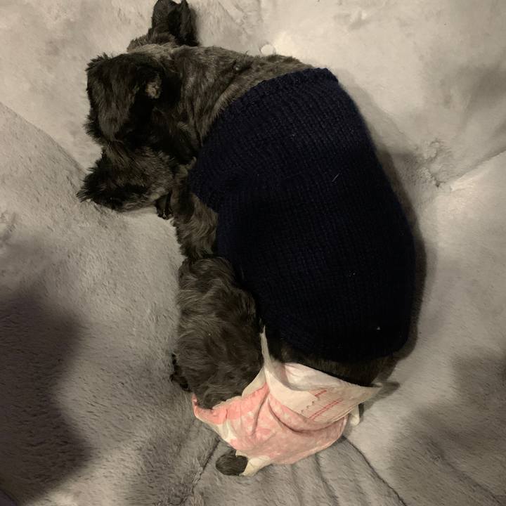 4c1f0e1f 9c15 4e91 9b1a a1fb017b1ec0 1640953510845