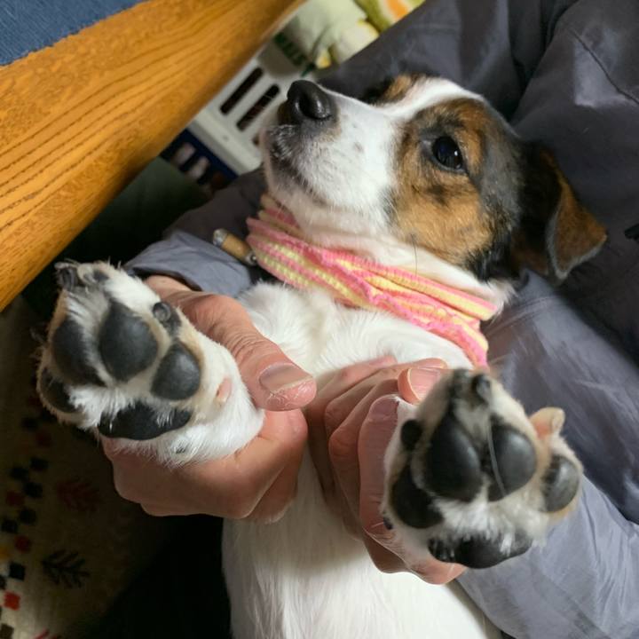 4c1f1331 b5b8 4cff a1c7 d082f23dc4f1 1611364806943