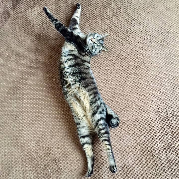 4c1f1d1a eb12 429b 9c59 c108a0327330 1556513505959