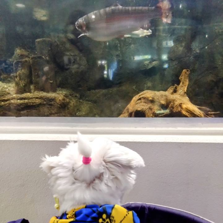 4c1f2f1d 3b32 44bc adc2 8b03325f8461 1714824171679