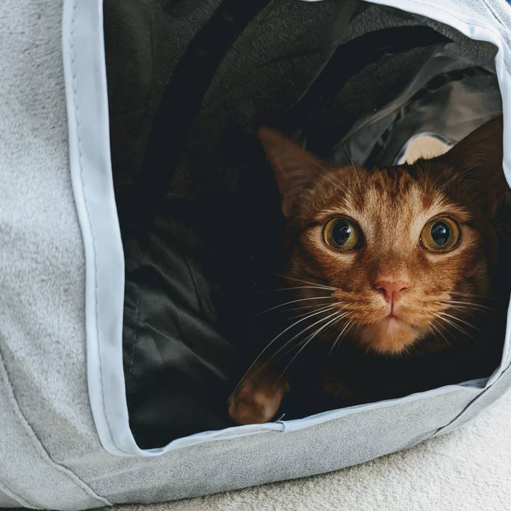 4c1f76fb facc 45c5 828d e182cff1ae5e 1651717903896