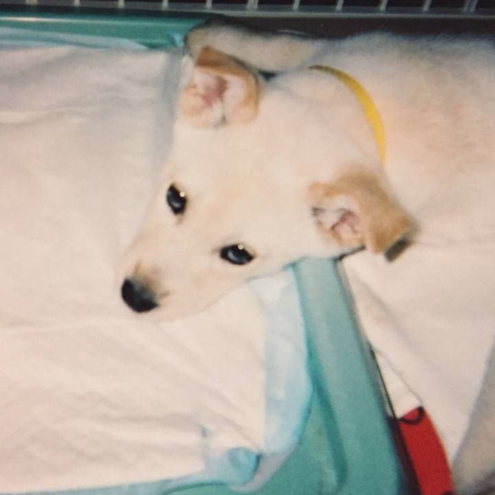 4c1f99bf 7288 4875 980d 4ca4f6d8ca03 1526473305066