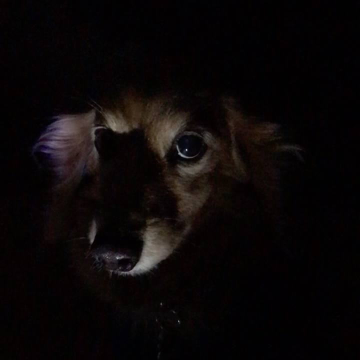 4c1fc511 a36a 439b 9810 baa65baeb574 1572346752050