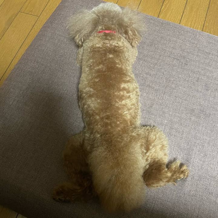 4c1fd286 f008 40be 9e68 1ee9d6283ead 1692010362600