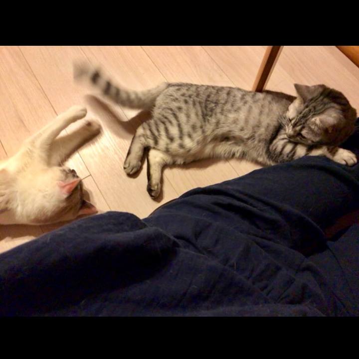 4c1fd29f 71c9 4653 933c 6400f84f92ea 1520337413705