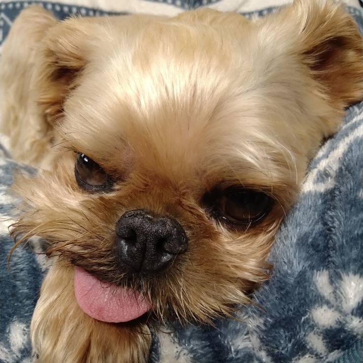 4c1ff1dd 4c3d 47cb 90da 116837f44669 1621433421866